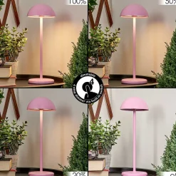 Lampe A Poser Pelaro Led Rose, 1 Lumiere