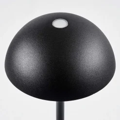 Lampe A Poser Pelaro Led Noir, 1 Lumiere