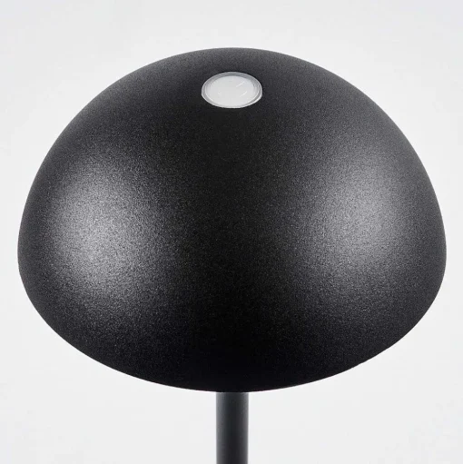 Lampe A Poser Pelaro Led Noir, 1 Lumiere
