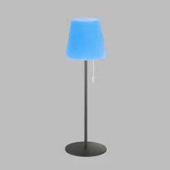 Lampe A Poser Schoner Wohnen-Kollektion Talent Led Anthracite, 1 Lumiere, Telecommandes, Changeur De Couleurs