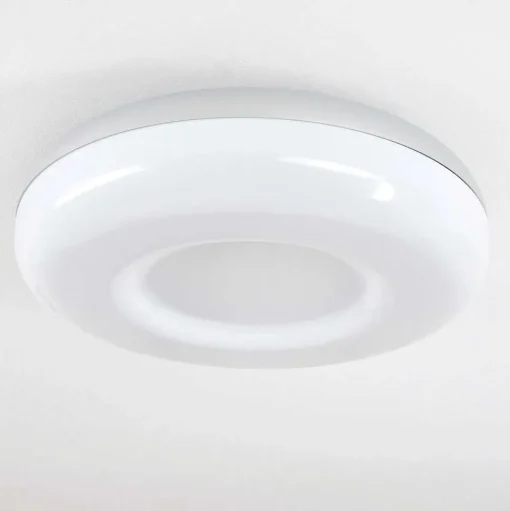 Plafonnier Idual Daphnis Led Argente, Blanc, 1 Lumiere, Telecommandes, Changeur De Couleurs