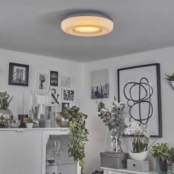 Plafonnier Idual Daphnis Led Argente, Blanc, 1 Lumiere, Telecommandes, Changeur De Couleurs