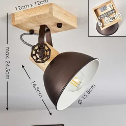 Plafonnier Orny Brun, Noir, 1 Lumiere
