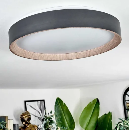 Plafonnier Sassemte Led Blanc, 1 Lumiere