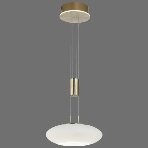 Suspension Paul Neuhaus Q-Etienne Led Laiton, 1 Lumiere, Telecommandes