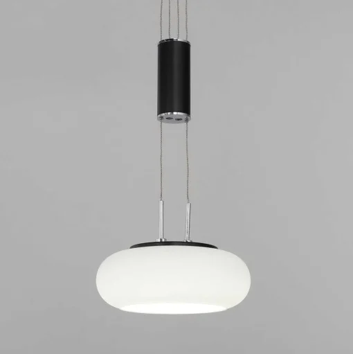 Suspension Paul Neuhaus Q-Etienne Led Noir, 2 Lumieres, Telecommandes