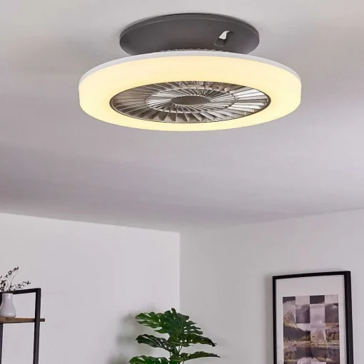 Ventilateur De Plafond Somalia Led Argente, Transparent, 1 Lumiere